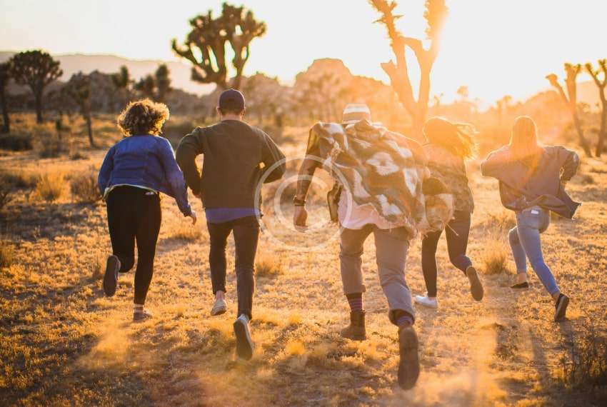 custom-img-059-copyright